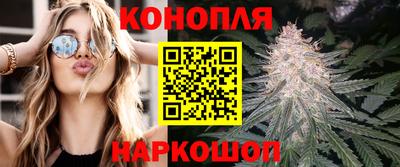 бошки Тверь